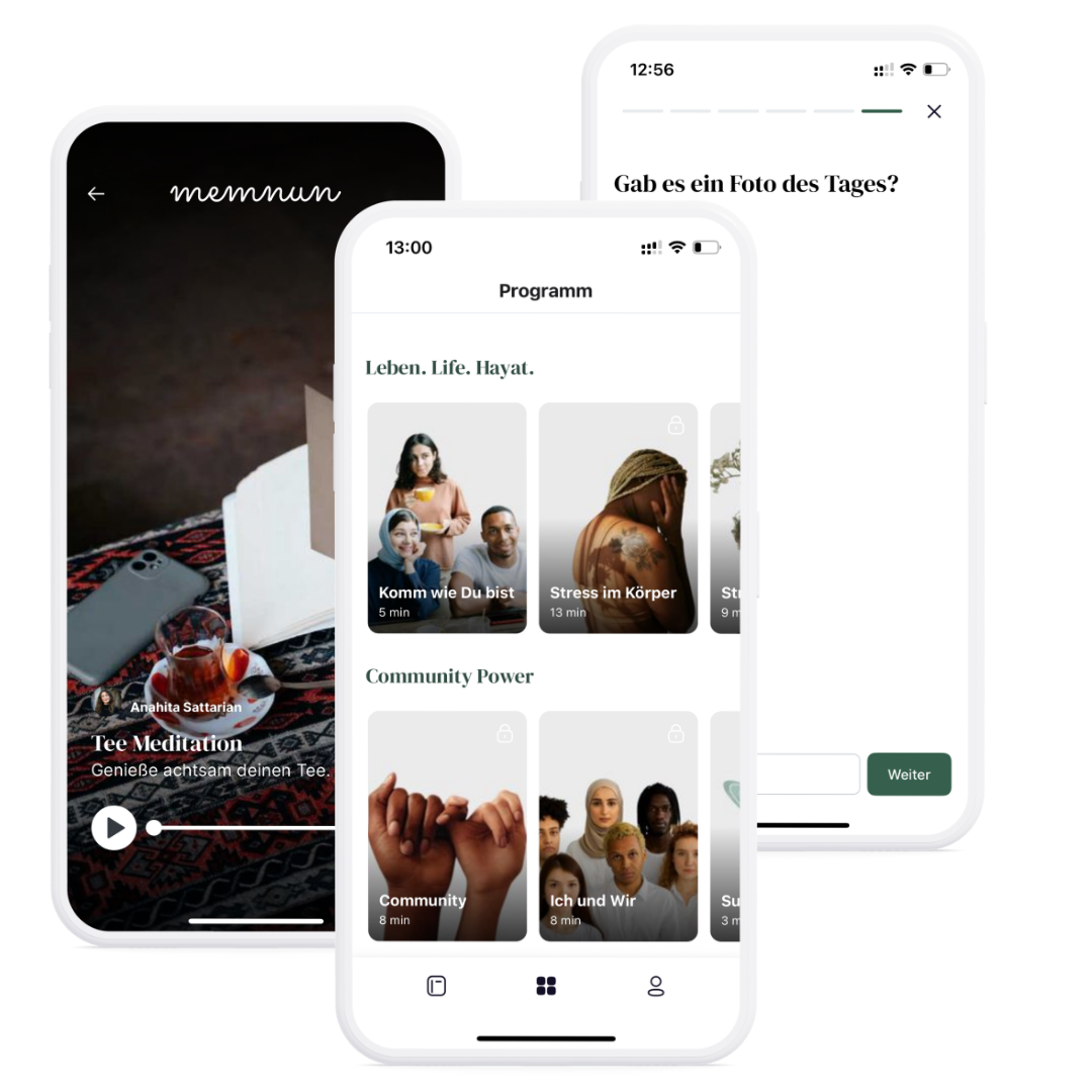 4 Wochen Programm App Interface